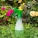 Insecticides