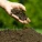 Soil